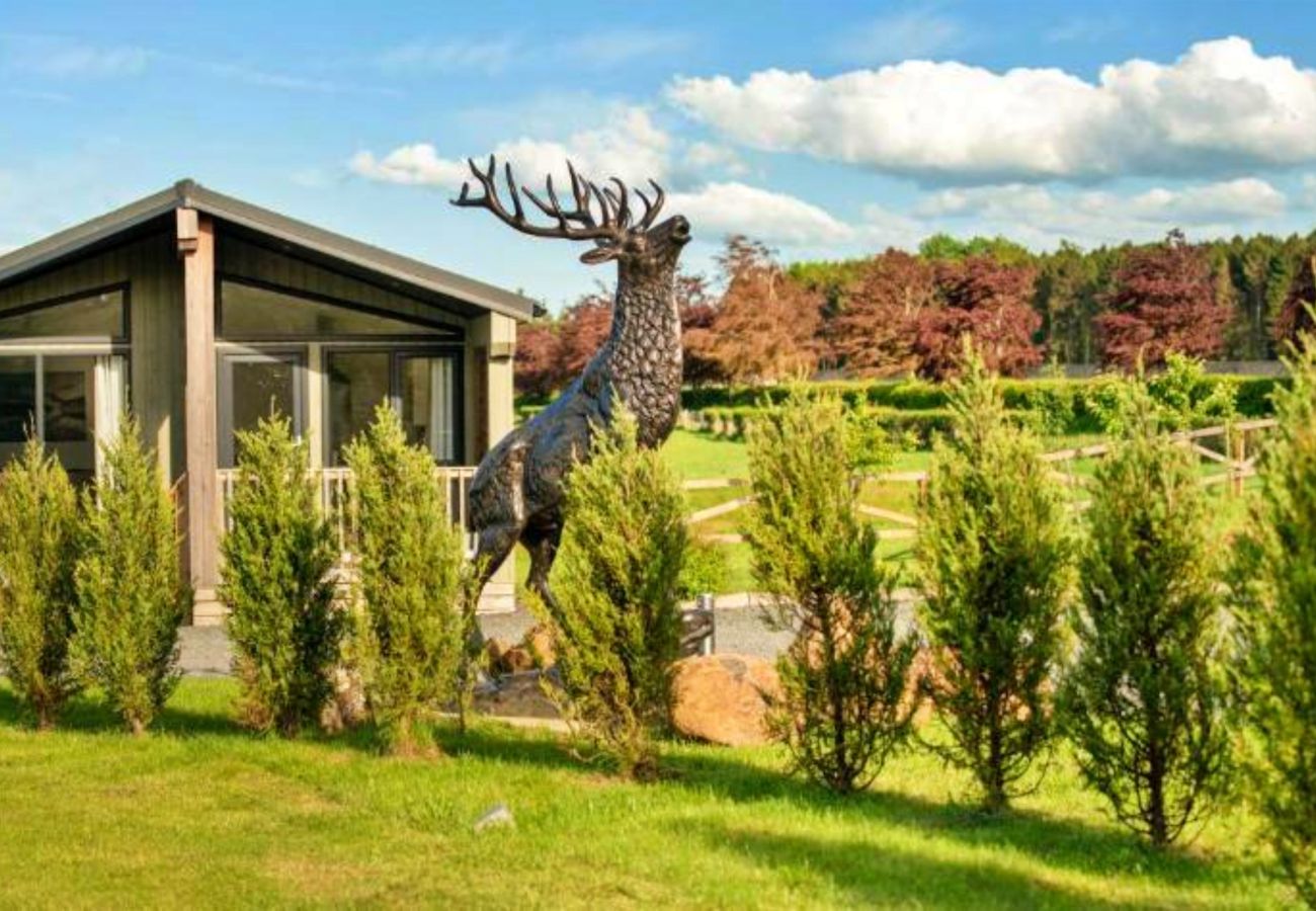 Chalet in Errol - Silverwood Executive Chalet