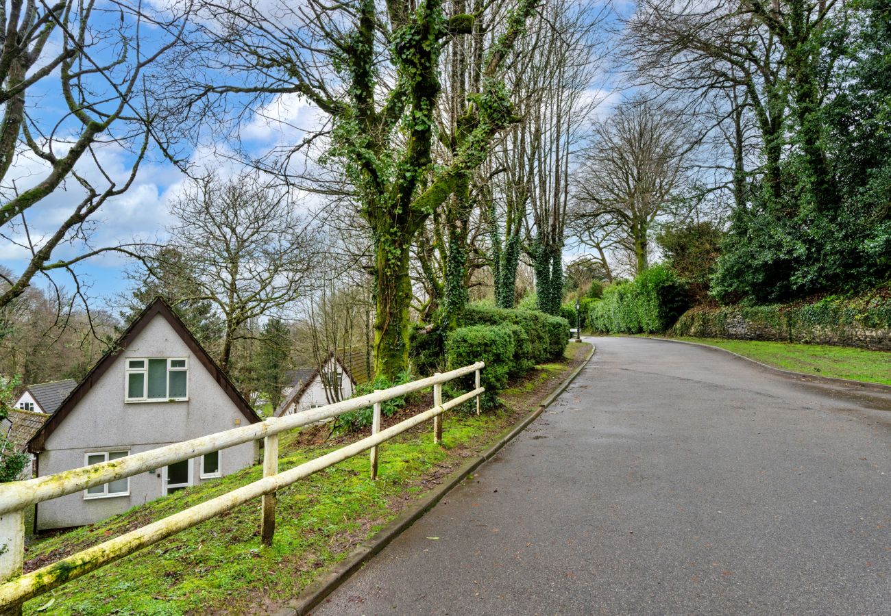Chalet in Callington - Toblerone Lodge