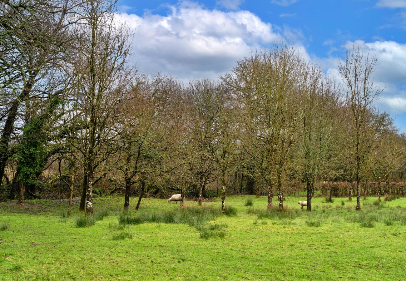 Cottage in Beaworthy - Oak Leaf Cottage