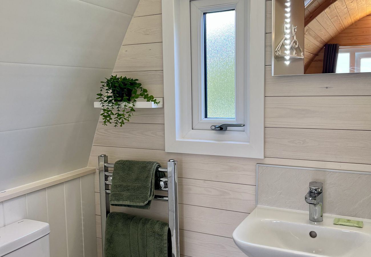 Houten huisje in Lambrigg - Whinfell Pod