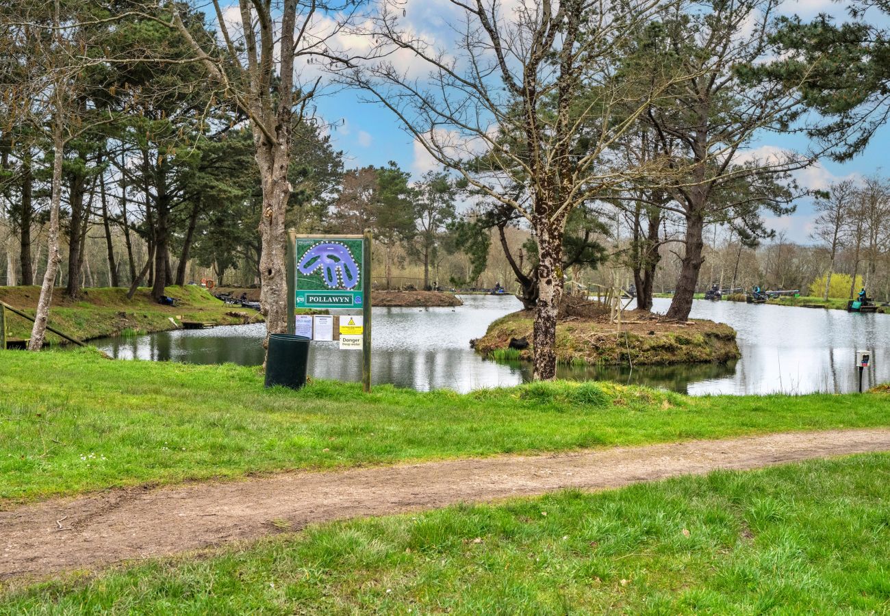 Chalet in White Cross - Pine Forest Lodge