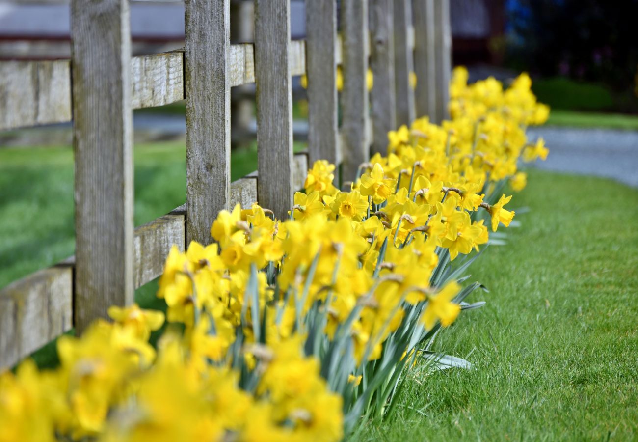 Cottage in Driffield - The Owls Rest