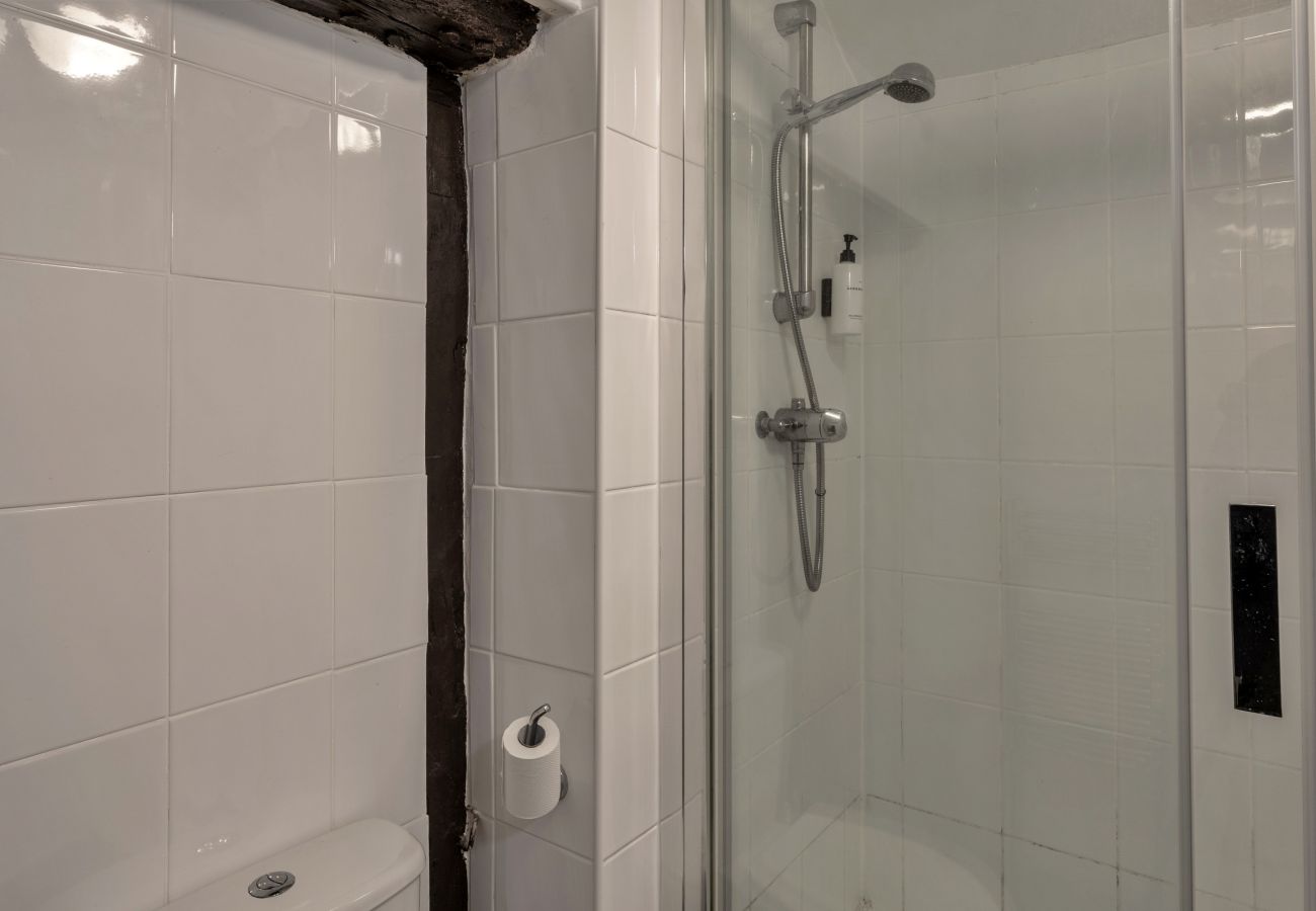 Cottage in Woolacombe - Trimstone Manor - Mill Apartment