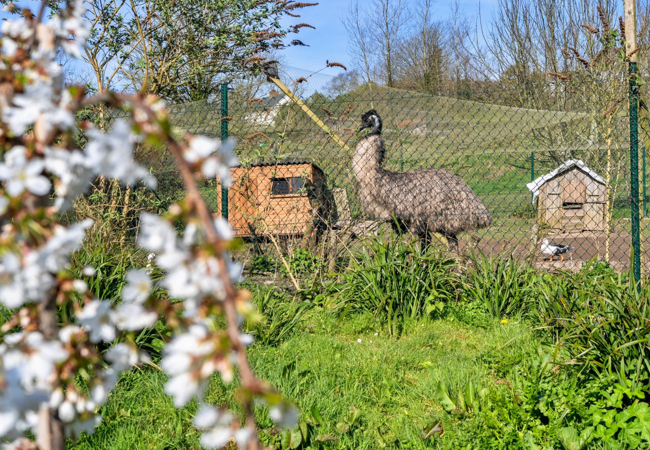Cottage in Woolacombe - Trimstone Manor - Manor Cottage