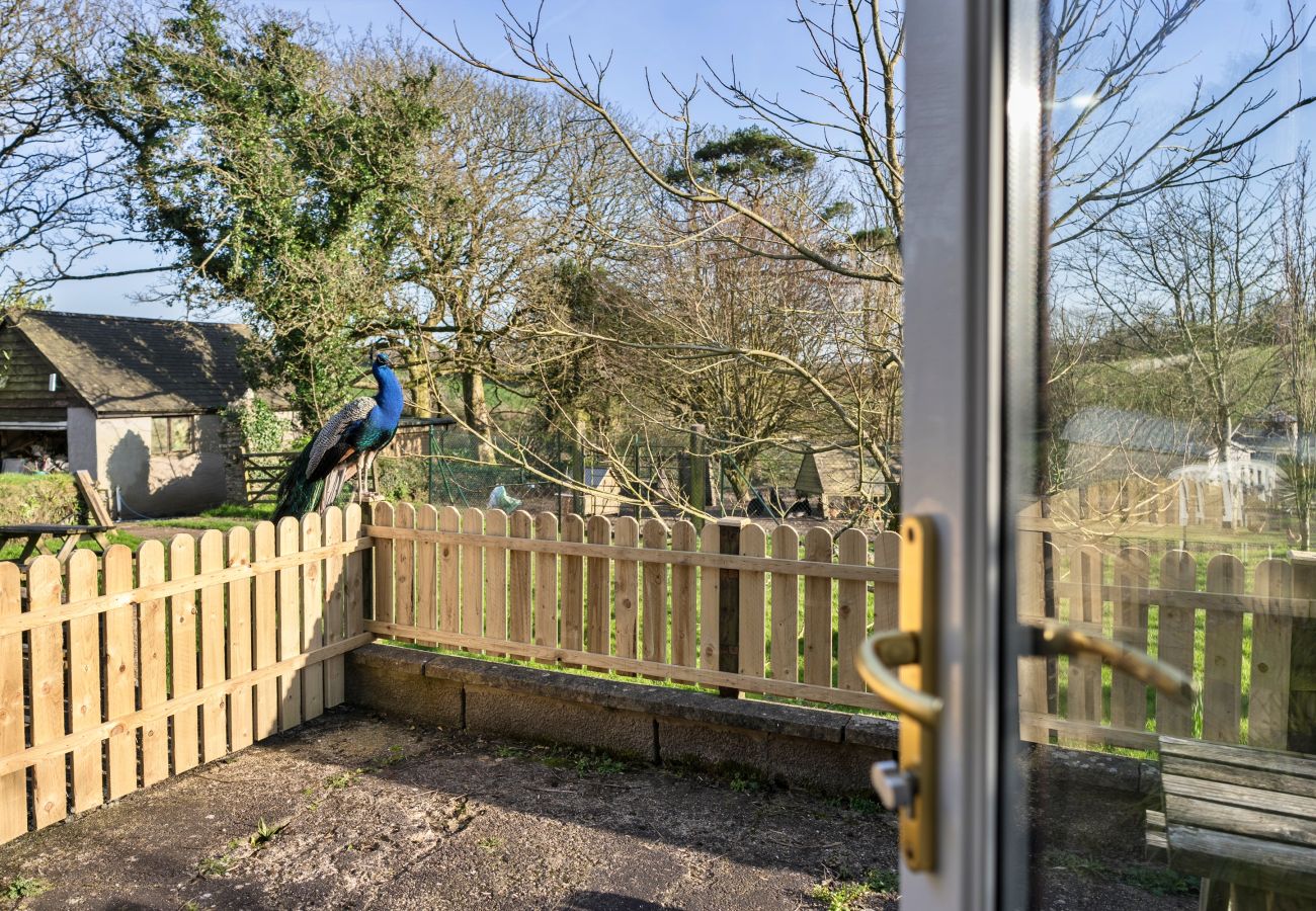 Cottage in Woolacombe - Trimstone Manor - Lee, Studio Apartment