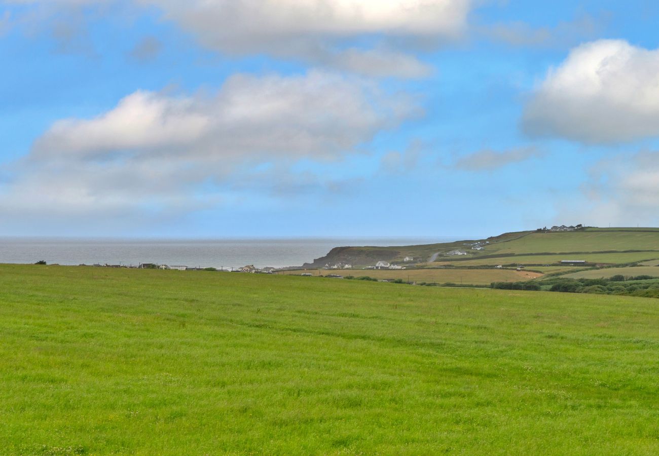 Cottage in Widemouth Bay - Squire, Quinceborough Farm