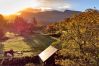 Cottage in Dolgellau - Little Meadow Retreat