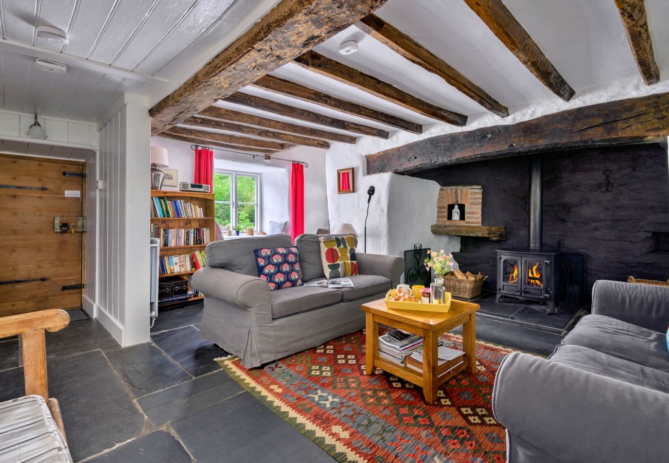 Cottage in Blaenau Ffestiniog - Tafarn Trip
