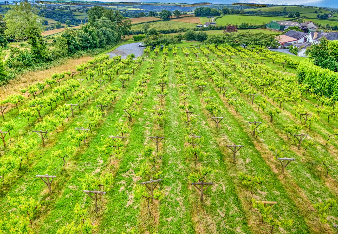 Huis in Whitland - Jabajak Vineyard
