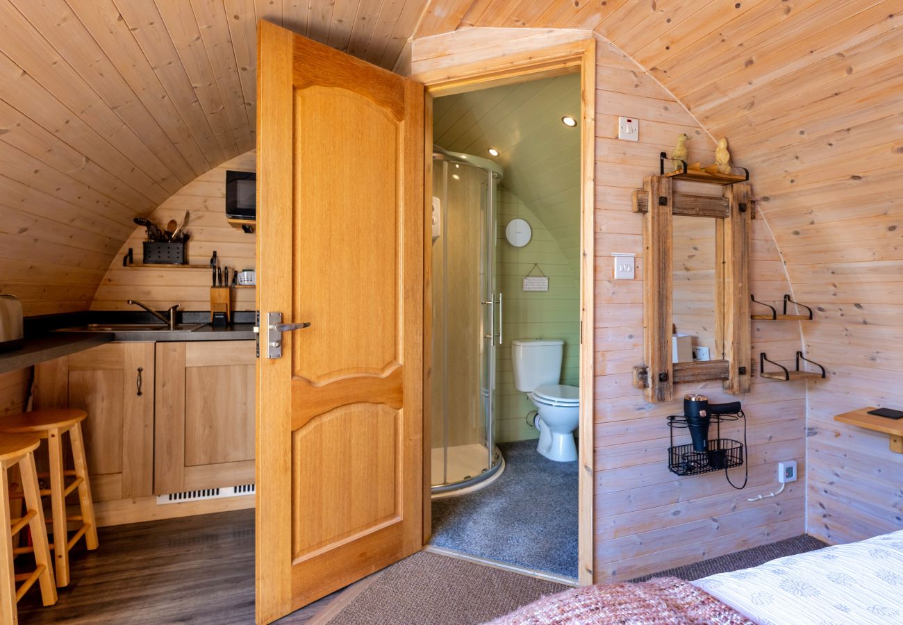 Houten huisje in St Asaph - Gelert Pod
