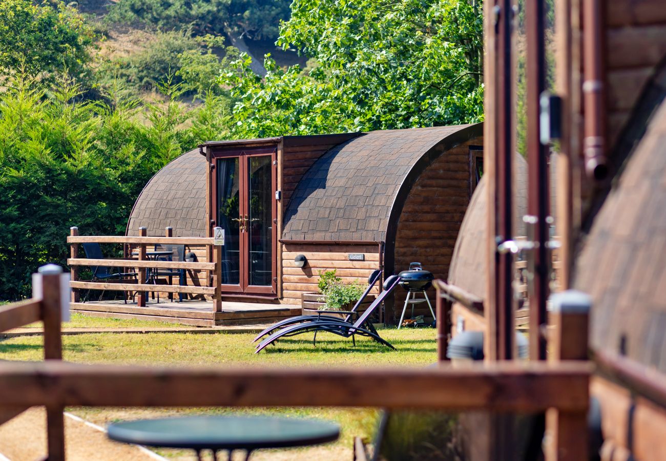 Houten huisje in St Asaph - Gelert Pod