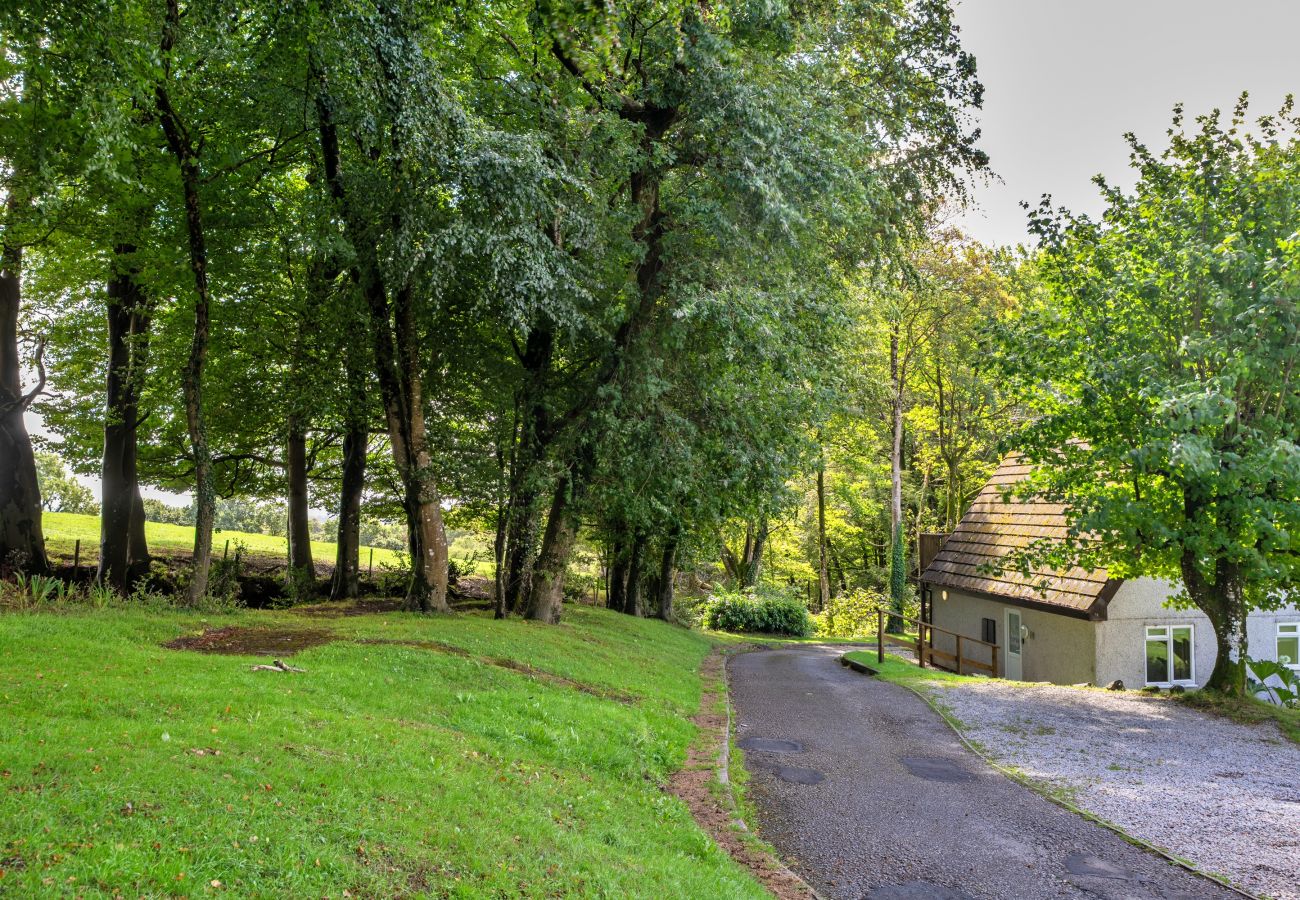 Chalet in Callington - Foxgloves Valley Lodge