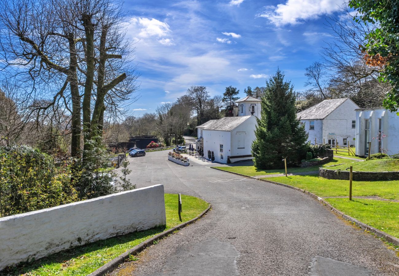 Chalet in Callington - Daisy Valley Lodge