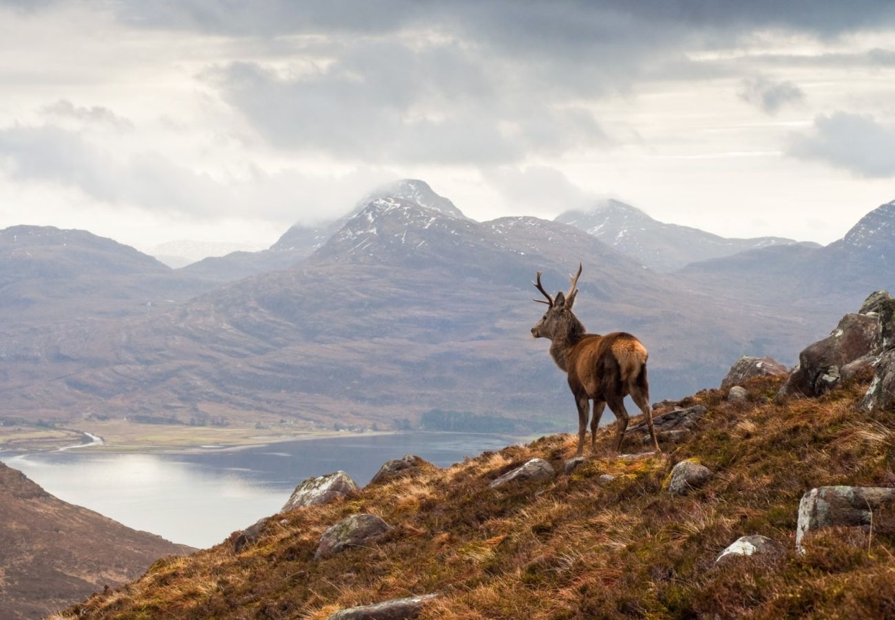 Huis in Inverness - Stag Lodge