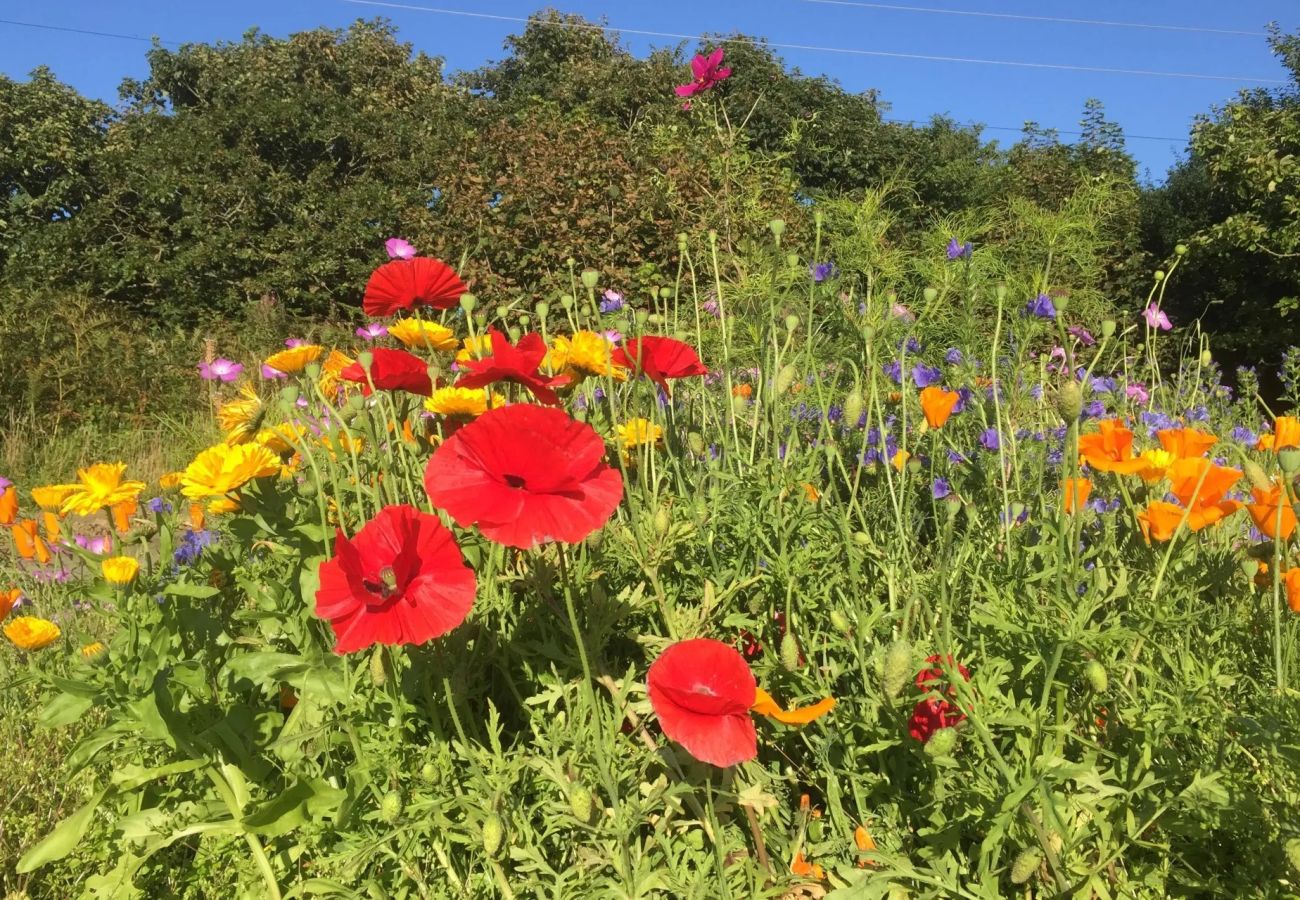 Cottage in Hartland - The Tack Room at Cheristow