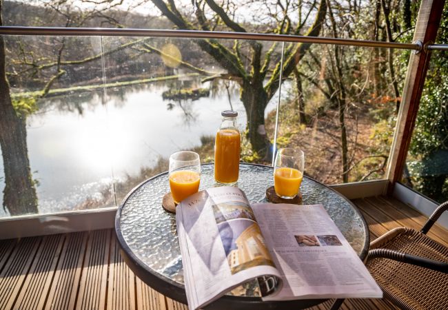 Farm stay in Germansweek - Yeworthy Eco-Treehouse Farm stay in Germansweek - Yeworthy Eco-Treehouse
