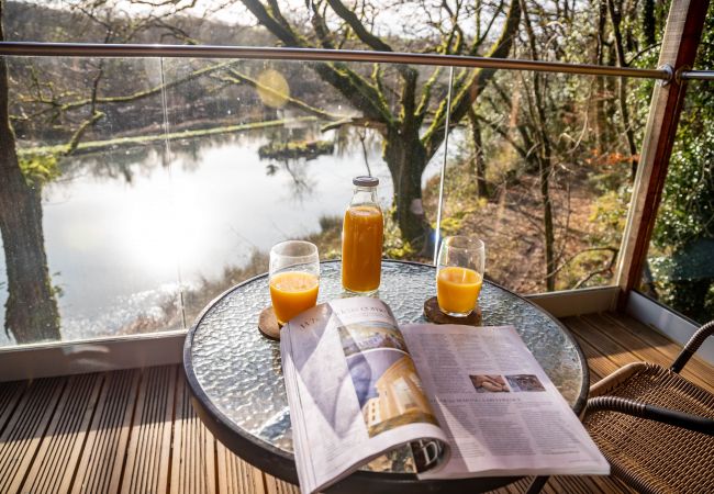 Farm stay in Germansweek - Yeworthy Eco-Treehouse