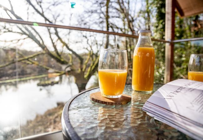 Farm stay in Germansweek - Yeworthy Eco-Treehouse Farm stay in Germansweek - Yeworthy Eco-Treehouse