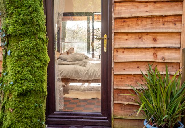 Farm stay in Germansweek - Yeworthy Eco-Treehouse Farm stay in Germansweek - Yeworthy Eco-Treehouse