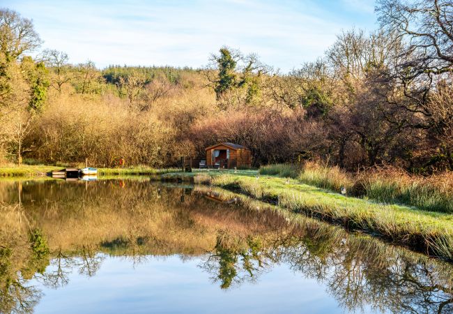 Farm stay in Germansweek - Yeworthy Eco-Treehouse Farm stay in Germansweek - Yeworthy Eco-Treehouse