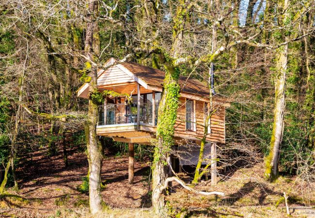 Farm stay in Germansweek - Yeworthy Eco-Treehouse