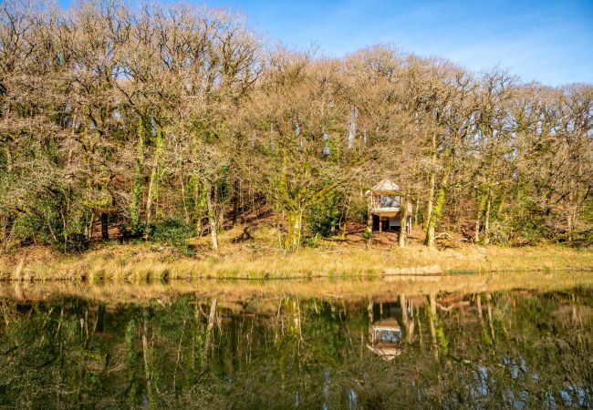 Farm stay in Germansweek - Yeworthy Eco-Treehouse