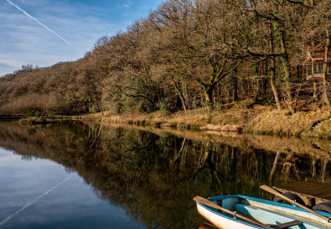 Farm stay in Germansweek - Yeworthy Eco-Treehouse