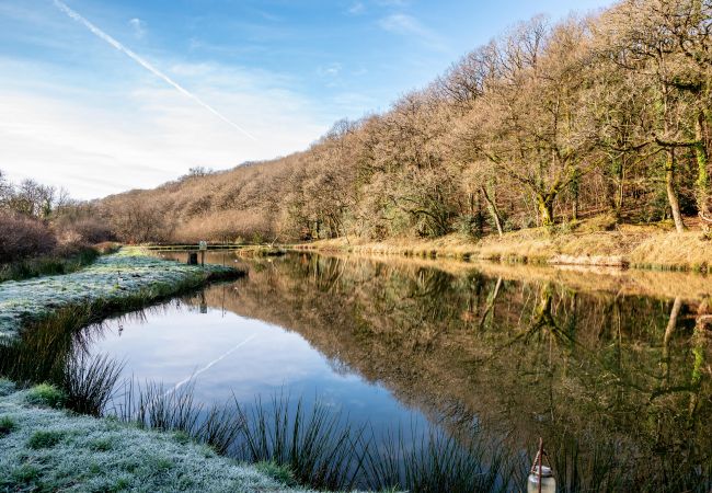 Farm stay in Germansweek - Yeworthy Eco-Treehouse