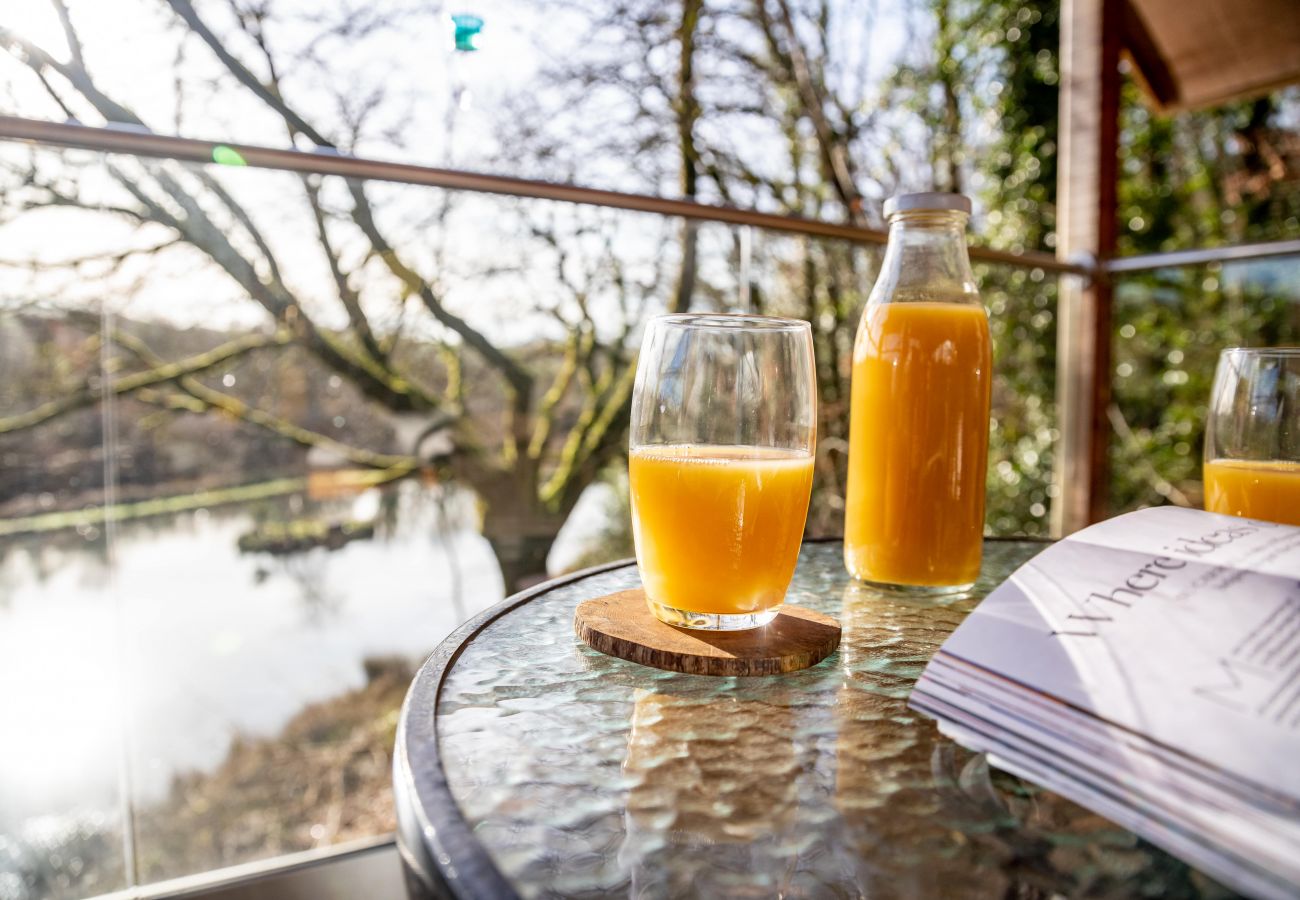 Farm stay in Germansweek - Yeworthy Eco-Treehouse