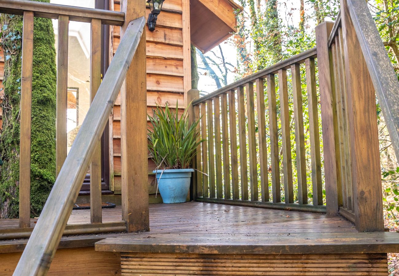 Farm stay in Germansweek - Yeworthy Eco-Treehouse