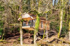 Farm stay in Germansweek - Yeworthy Eco-Treehouse