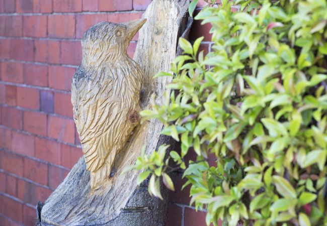 Cottage in Llangollen - Woodpecker Cottage Cottage in Llangollen - Woodpecker Cottage