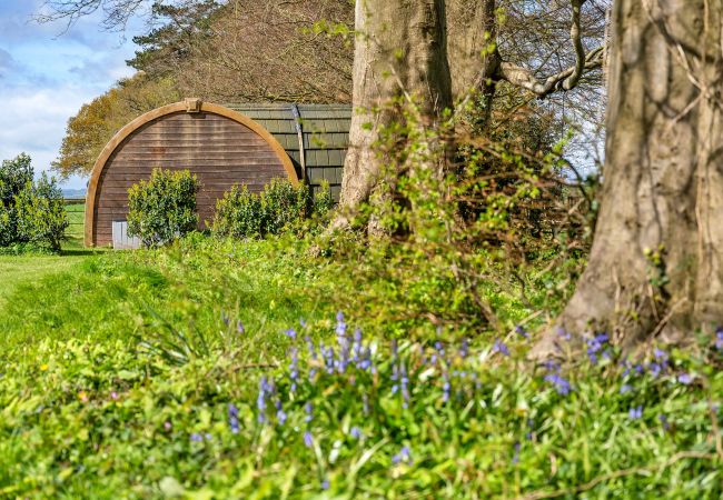 Farm stay in Camerton - The Pods