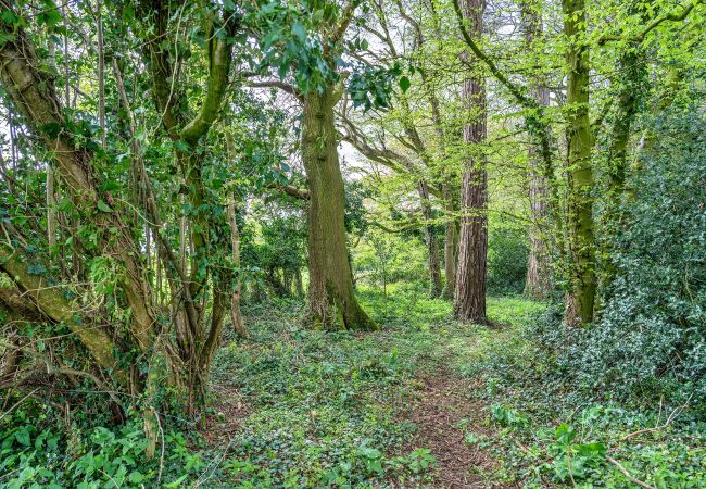 Farm stay in Camerton - The Pods