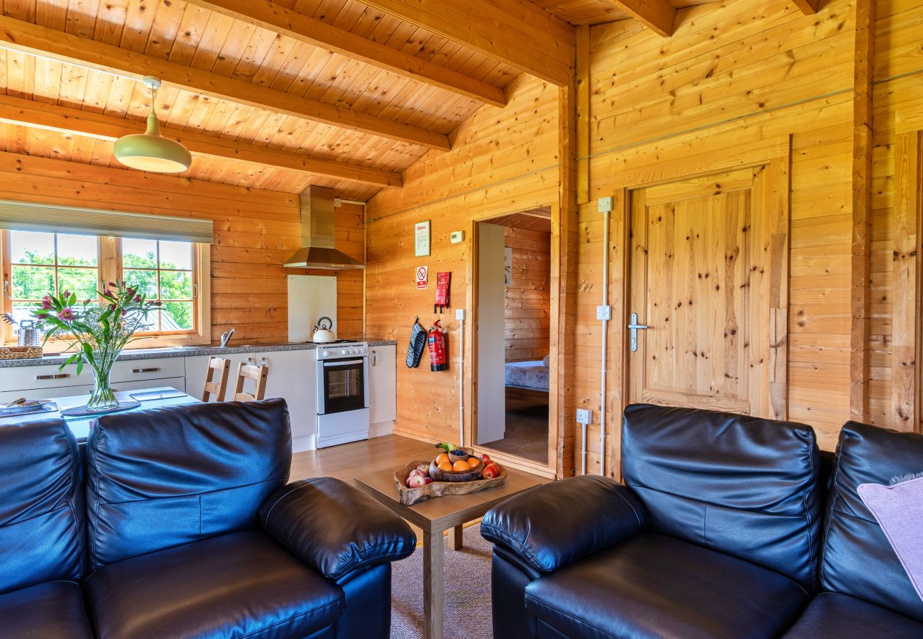 Farm stay in Okehampton - Moor View Cabin