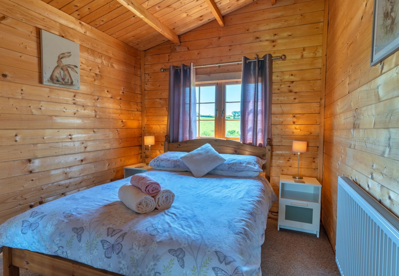 Farm stay in Okehampton - Moor View Cabin