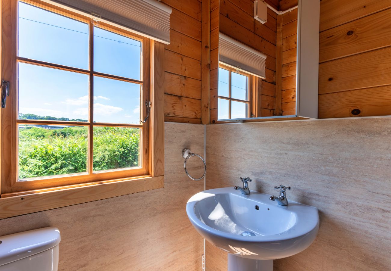 Farm stay in Okehampton - Moor View Cabin