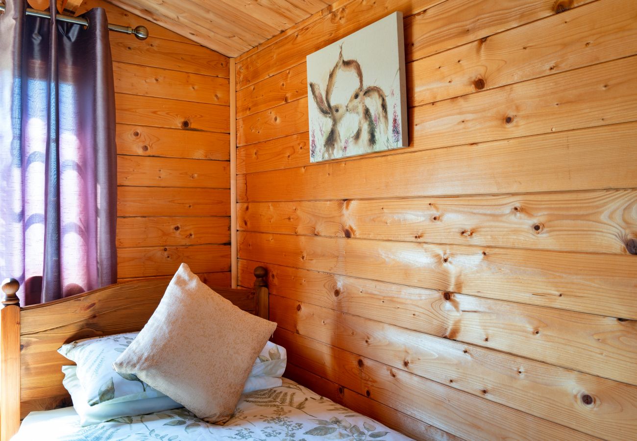 Farm stay in Okehampton - Moor View Cabin