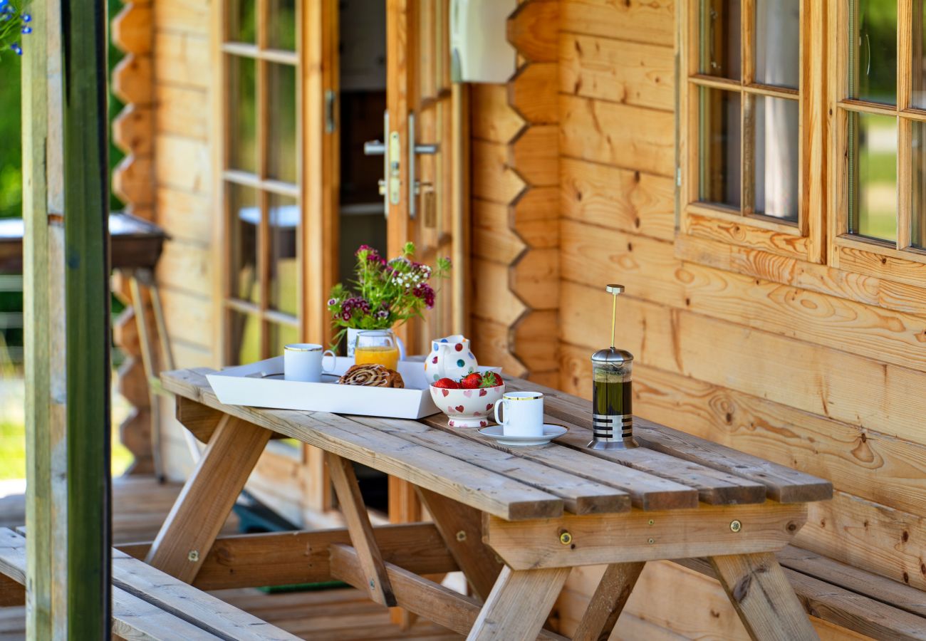 Farm stay in Okehampton - Pastures Green Cabin