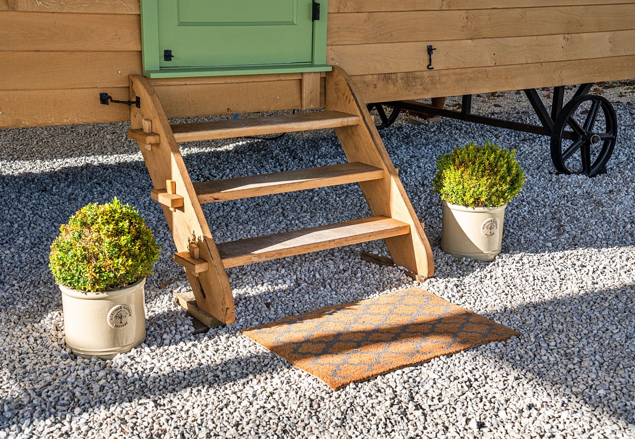 Farm stay in Beaworthy - The Shepherd's Hut at Northcombe Farm