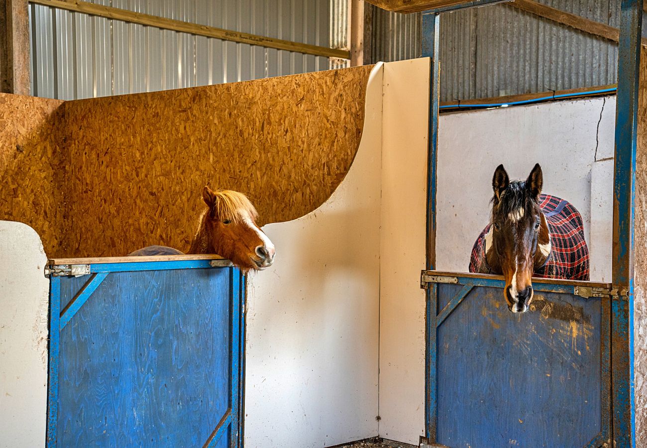 Farm stay in Beaworthy - The Shepherd's Hut at Northcombe Farm