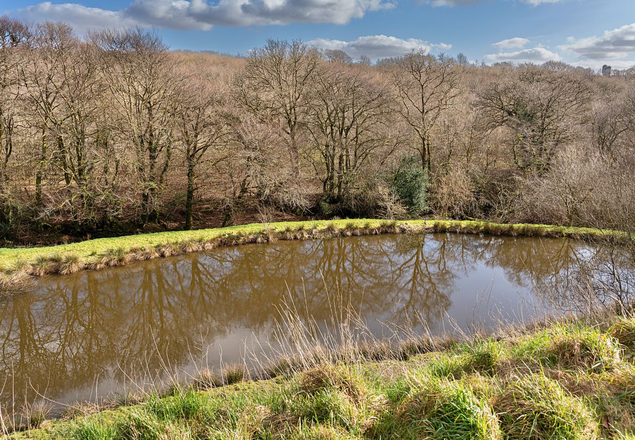 Farm stay in Beaworthy - The Shepherd's Hut at Northcombe Farm