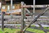 Farm stay in Beaworthy - The Shepherd's Hut at Northcombe Farm Farm stay in Beaworthy - The Shepherd's Hut at Northcombe Farm