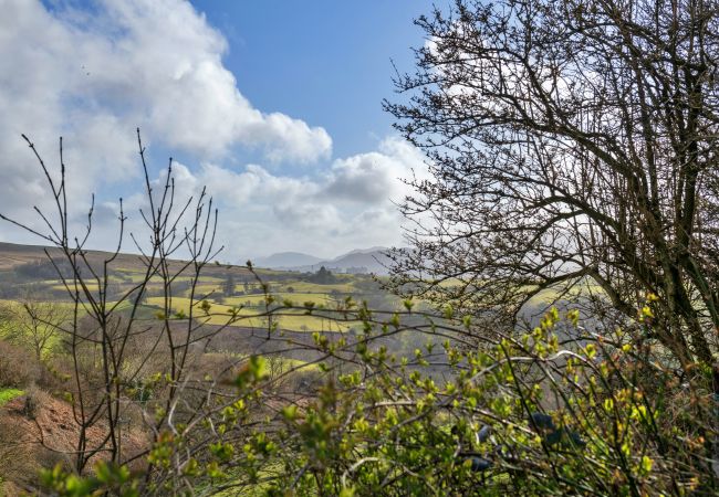 Cottage in Llan Ffestiniog - Dolwar Cottage Cottage in Llan Ffestiniog - Dolwar Cottage
