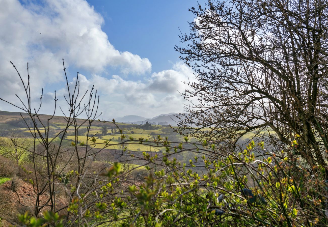 Cottage in Llan Ffestiniog - Dolwar Cottage