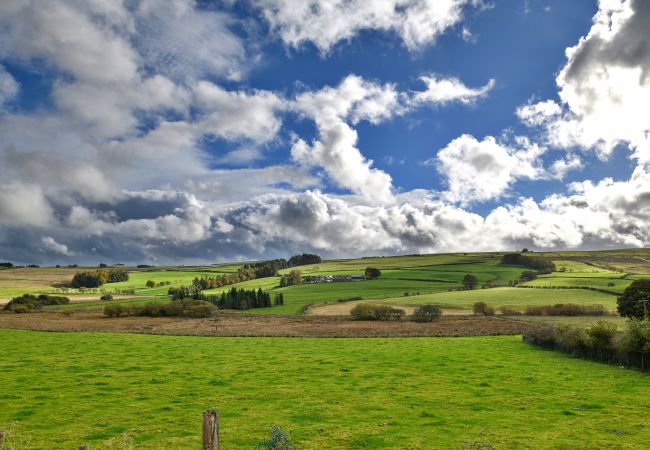 Cottage in Glasfryn - Bodlawen Holiday House - Edge of Snowdonia