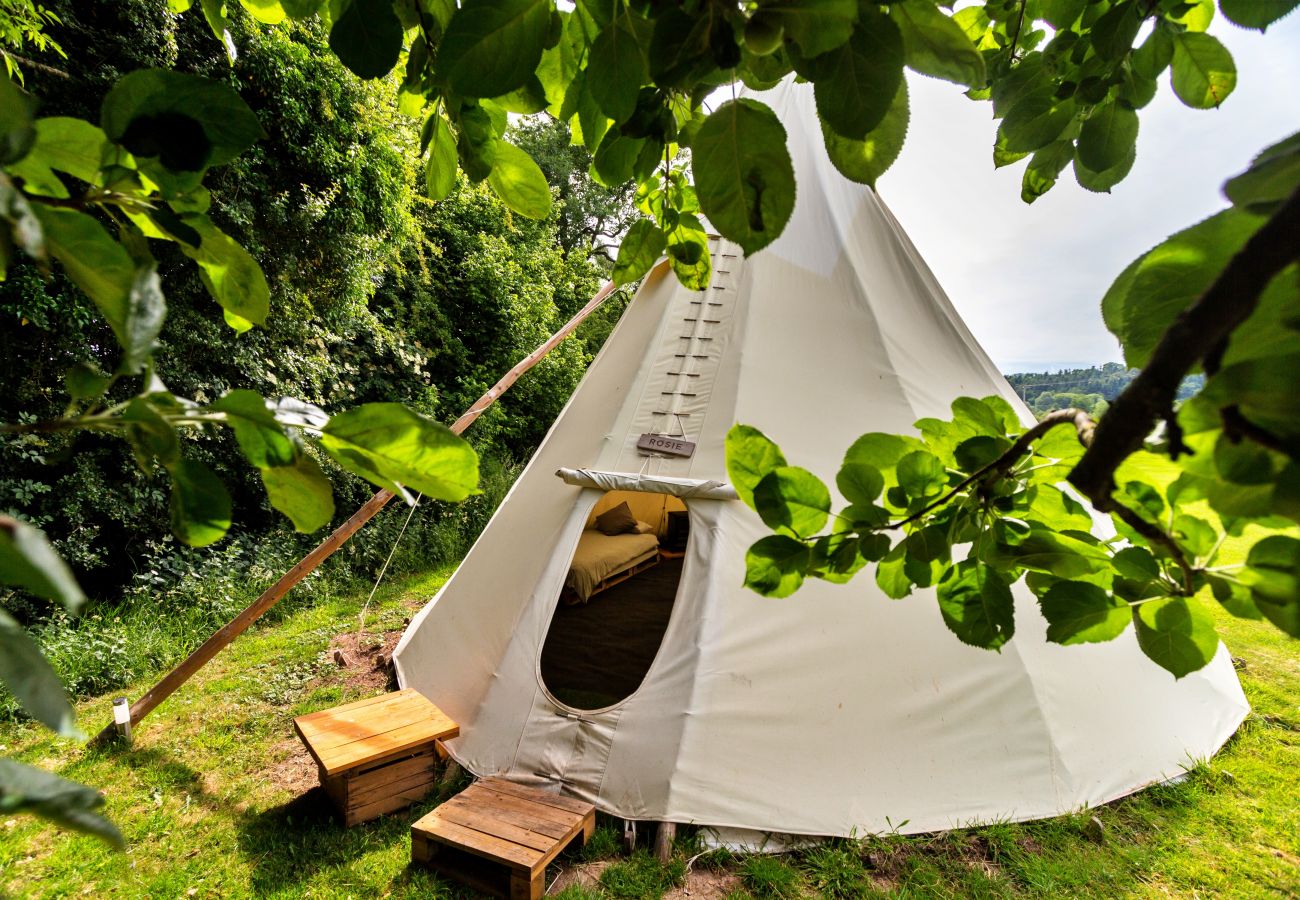 Chalet in Hereford - 'Rosie' - Luxury Tipi Glamping