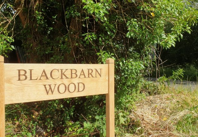 Cottage in Balsham - Blackbarn Wood Cottage in Balsham - Blackbarn Wood
