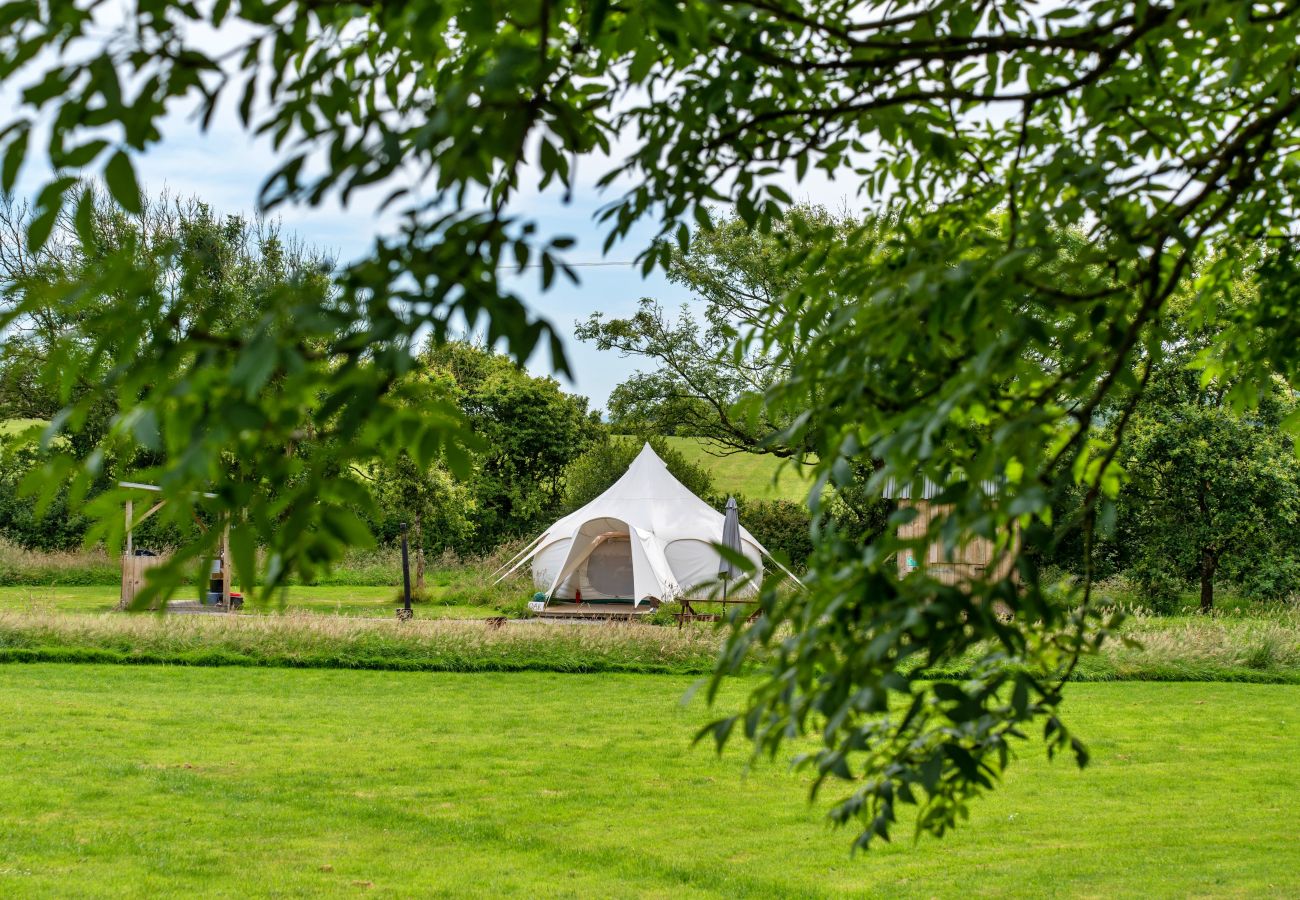 Chalet in Ilfracombe - Oak Lotus Belle Tent