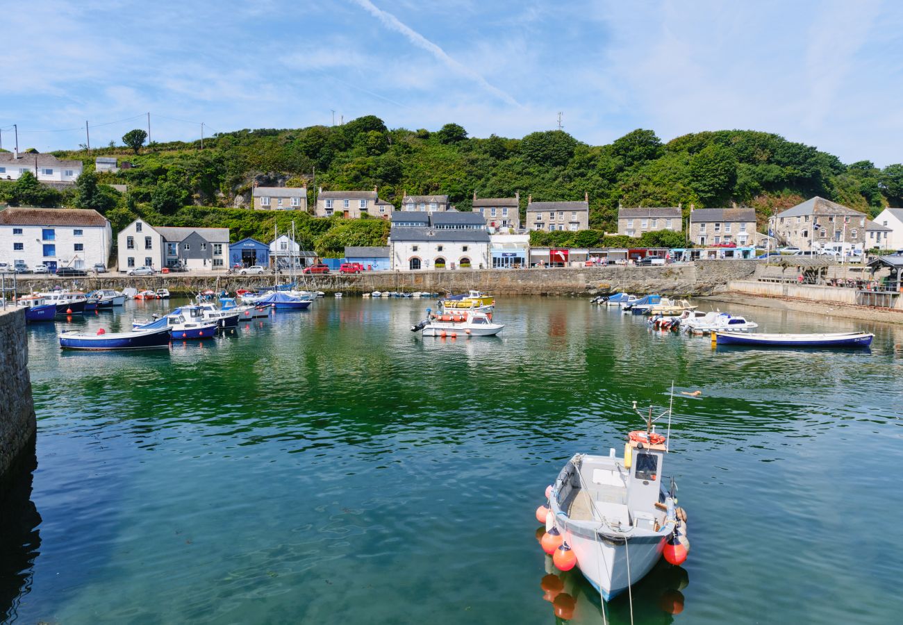 House in Porthleven - Seadog